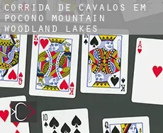 Corrida de cavalos em Pocono Mountain Woodland Lakes