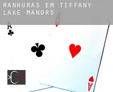 Ranhuras em Tiffany Lake Manors