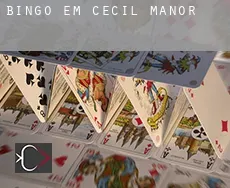 Bingo em Cecil Manor