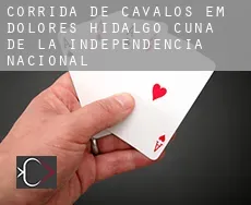 Corrida de cavalos em  Dolores Hidalgo Cuna de la Independencia Nacional