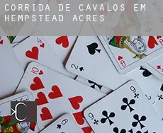 Corrida de cavalos em  Hempstead Acres