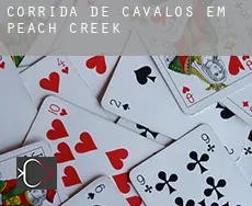 Corrida de cavalos em  Peach Creek