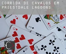 Corrida de cavalos em  Priestdale Lagoons