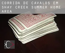 Corrida de cavalos em  Shay Creek Summer Home Area