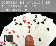 Corrida de cavalos em Altdörnfeld und Neudörnfeld