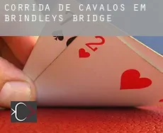 Corrida de cavalos em Brindleys Bridge