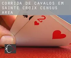 Corrida de cavalos em  Sainte-Croix (census area)