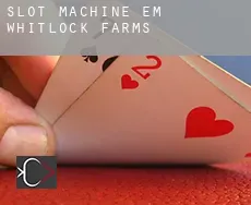 Slot machine em  Whitlock Farms