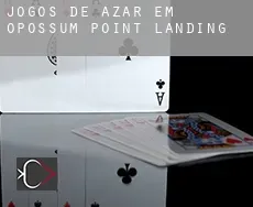 Jogos de azar em  Opossum Point Landing