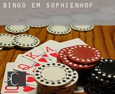 Bingo em  Sophienhof