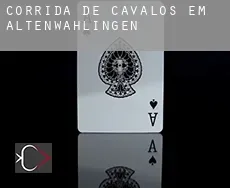 Corrida de cavalos em  Altenwahlingen