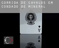 Corrida de cavalos em  Condado de Mineral