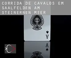 Corrida de cavalos em  Saalfelden am Steinernen Meer