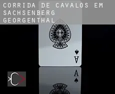Corrida de cavalos em  Sachsenberg-Georgenthal
