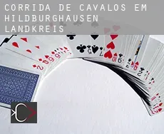 Corrida de cavalos em Hildburghausen Landkreis