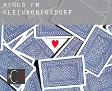 Bingo em  Kleinkönigsdorf