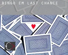 Bingo em  Last Chance
