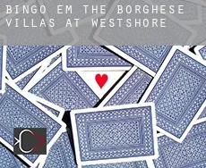 Bingo em  The Borghese Villas at Westshore