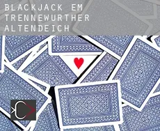 Blackjack em  Trennewurther Altendeich