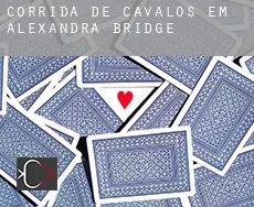 Corrida de cavalos em Alexandra Bridge