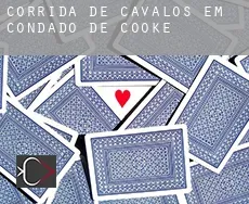 Corrida de cavalos em  Condado de Cooke
