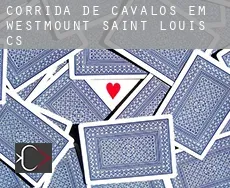 Corrida de cavalos em  Westmount-Saint-Louis (census area)