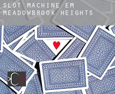 Slot machine em Meadowbrook Heights
