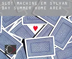Slot machine em  Sylvan Bay Summer Home Area