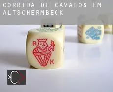 Corrida de cavalos em Altschermbeck