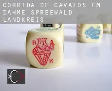 Corrida de cavalos em Dahme-Spreewald Landkreis