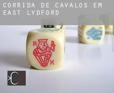Corrida de cavalos em  East Lydford