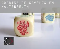 Corrida de cavalos em  Kaltenreuth