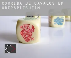 Corrida de cavalos em Oberspiesheim