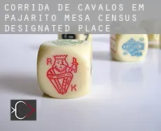 Corrida de cavalos em  Pajarito Mesa