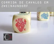 Corrida de cavalos em  Zweinaundorf