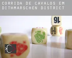 Corrida de cavalos em  Dithmarschen District