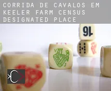 Corrida de cavalos em  Keeler Farm