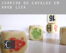 Corrida de cavalos em  Knob Lick