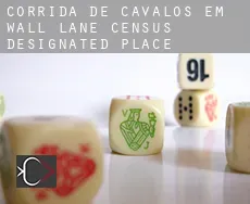 Corrida de cavalos em Wall Lane