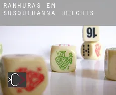 Ranhuras em  Susquehanna Heights