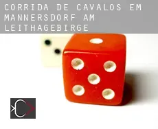 Corrida de cavalos em Mannersdorf am Leithagebirge