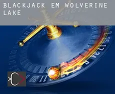 Blackjack em Wolverine Lake