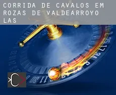 Corrida de cavalos em  Rozas de Valdearroyo (Las)