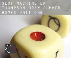 Slot machine em Thompson Draw Summer Homes Unit One