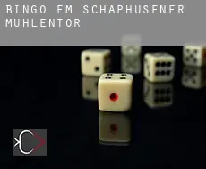 Bingo em  Schaphusener Mühlentor