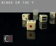 Bingo em  The Y