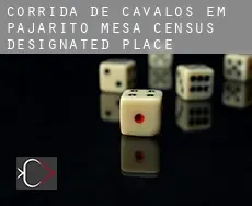 Corrida de cavalos em  Pajarito Mesa