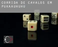 Corrida de cavalos em  Pukaauhuhu