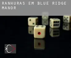 Ranhuras em  Blue Ridge Manor