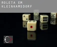 Roleta em Kleinkamsdorf